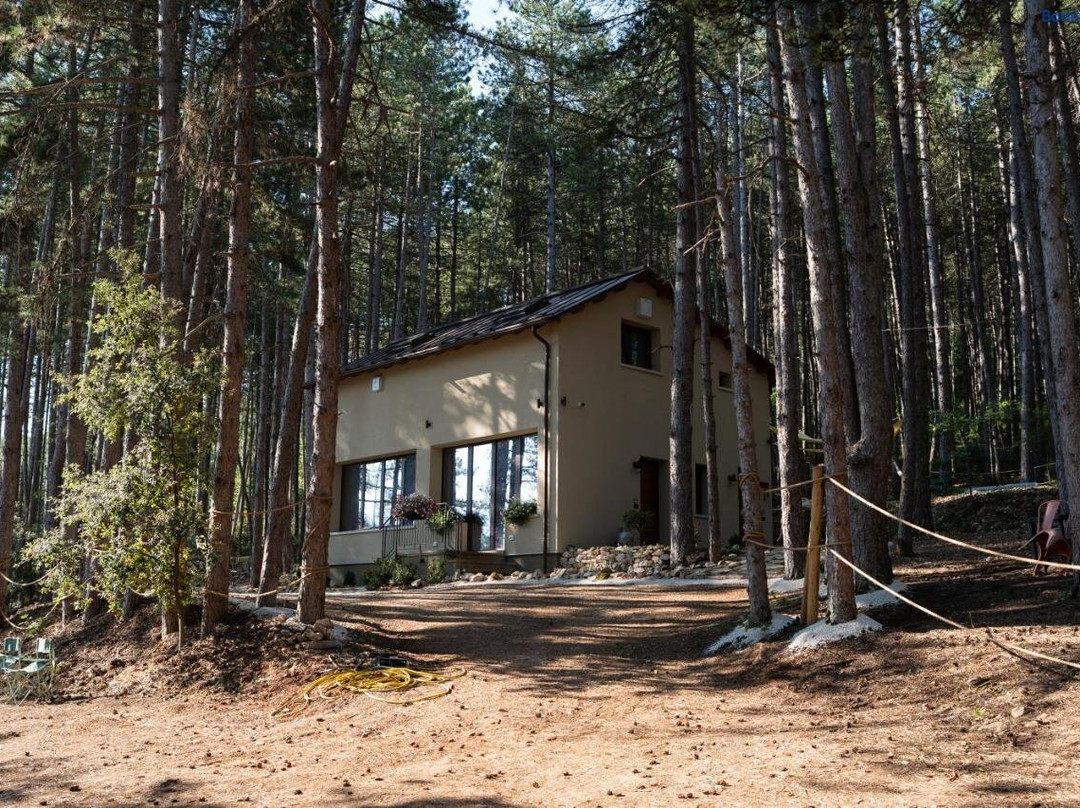 Chalet Bosco Plaja