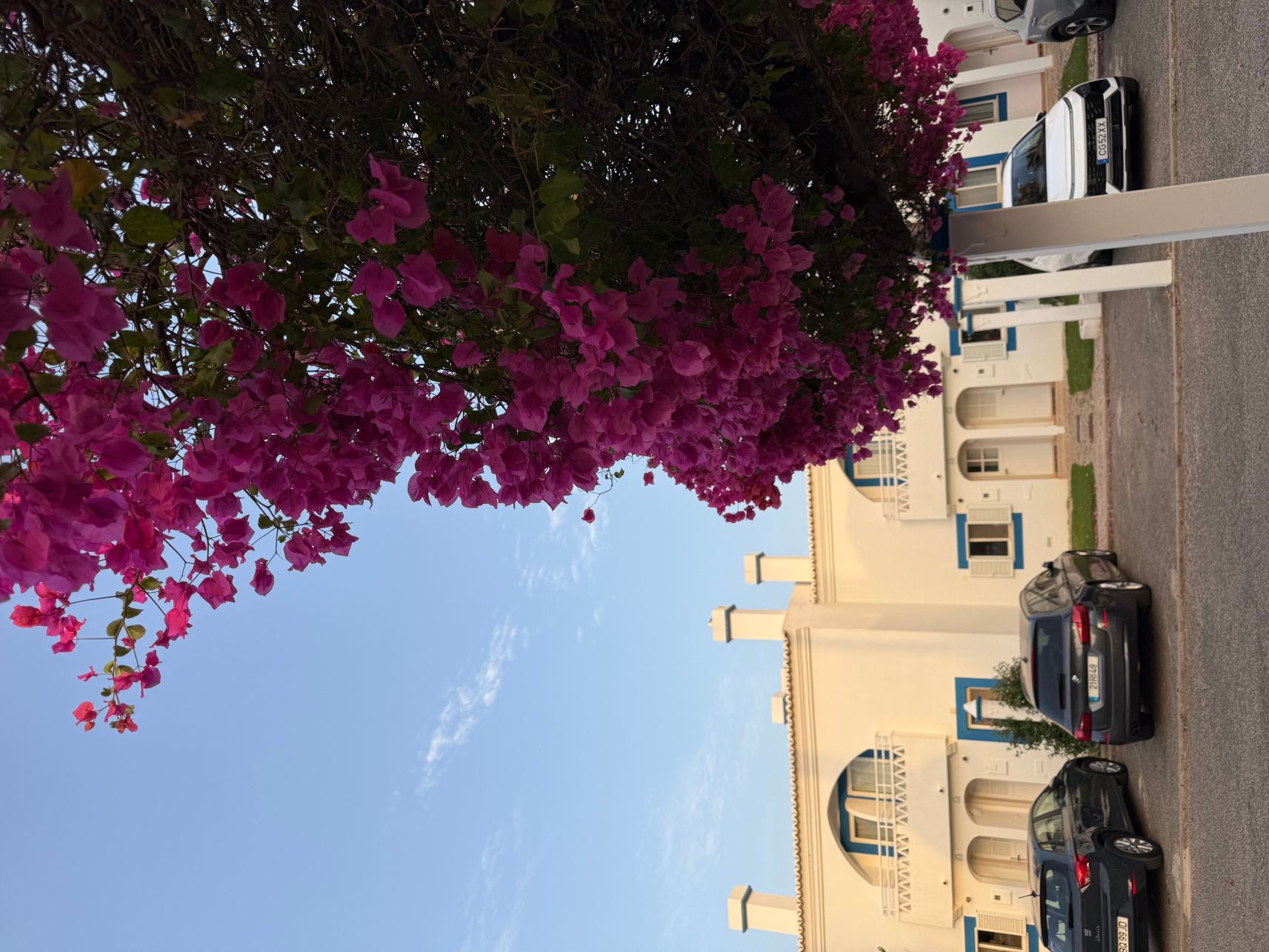 佩斯塔纳棕榈花园酒店-旅行者