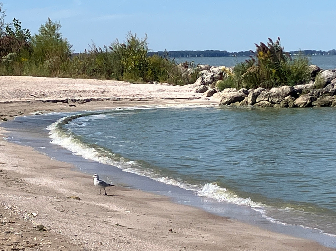 Maumee Bay State Park-Oregon必去景点