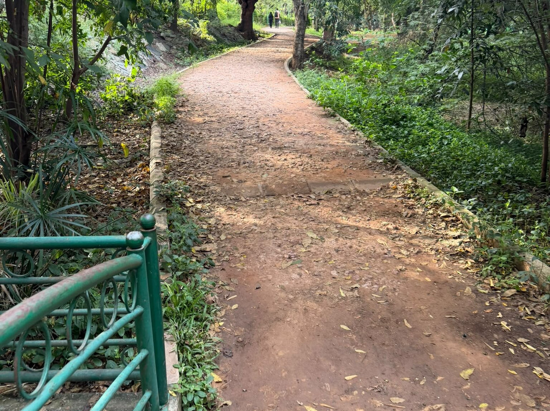 库本公园-班加罗尔必去景点