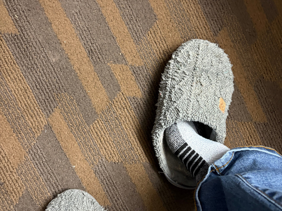 林肯新维多利亚套房酒店主图