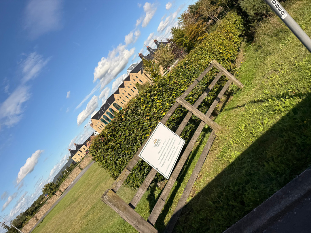 Tullamore D.E.W. Distillery Experience-Tullamore必去景点