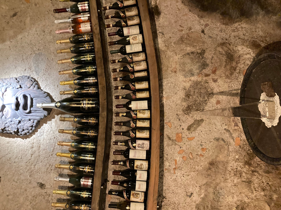 Castello Rametz - Wine Museum-梅拉诺必去景点