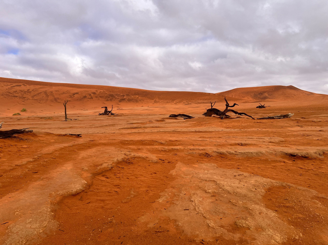 Namib Desert-苏丝斯黎必去景点