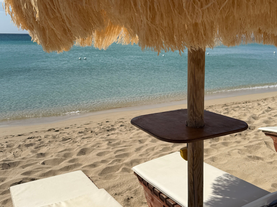 Samanà Beach-Punta Prosciutto必去景点
