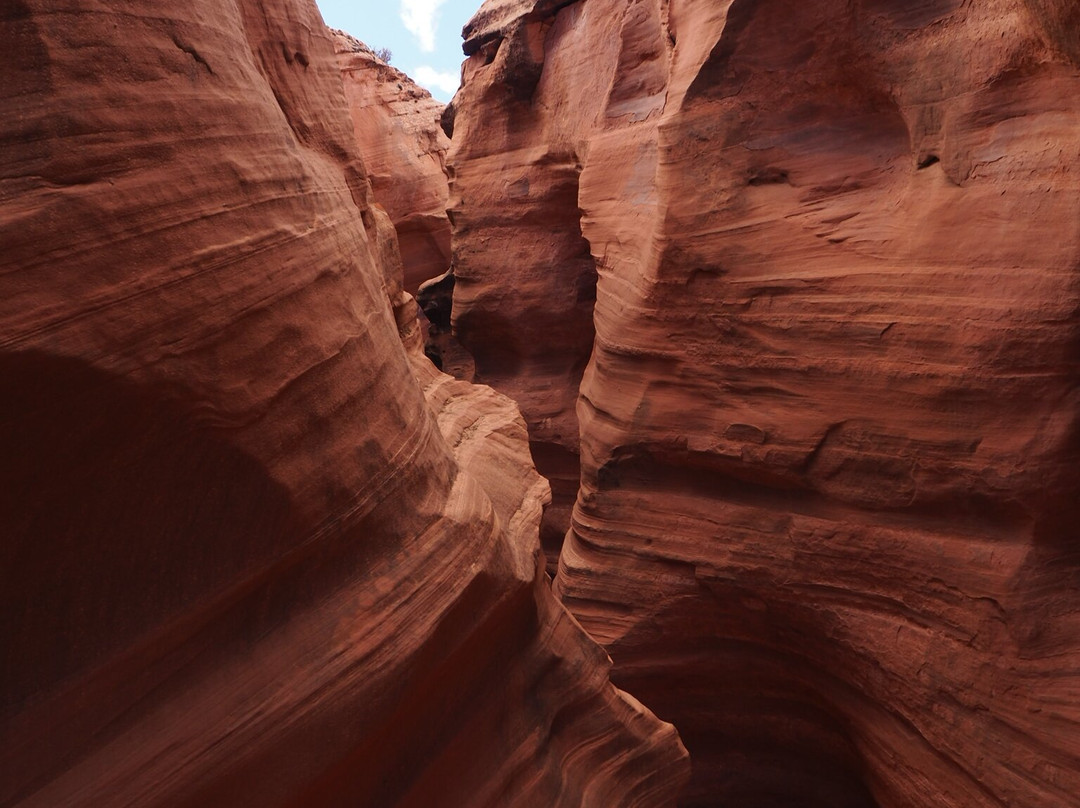Black Streak Canyon Tours-佩吉必去景点