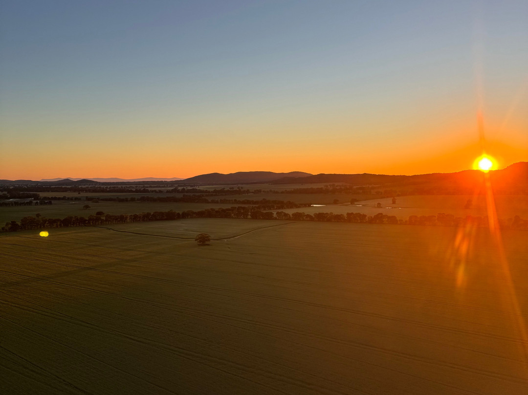 Goldrush Ballooning King Valley-King Valley必去景点