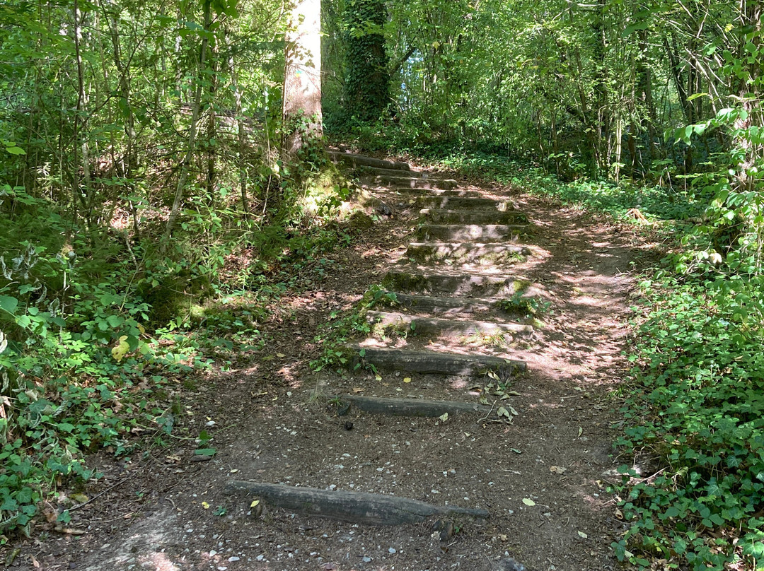 La Tuffière Source Pétrifiante-Rolampont必去景点