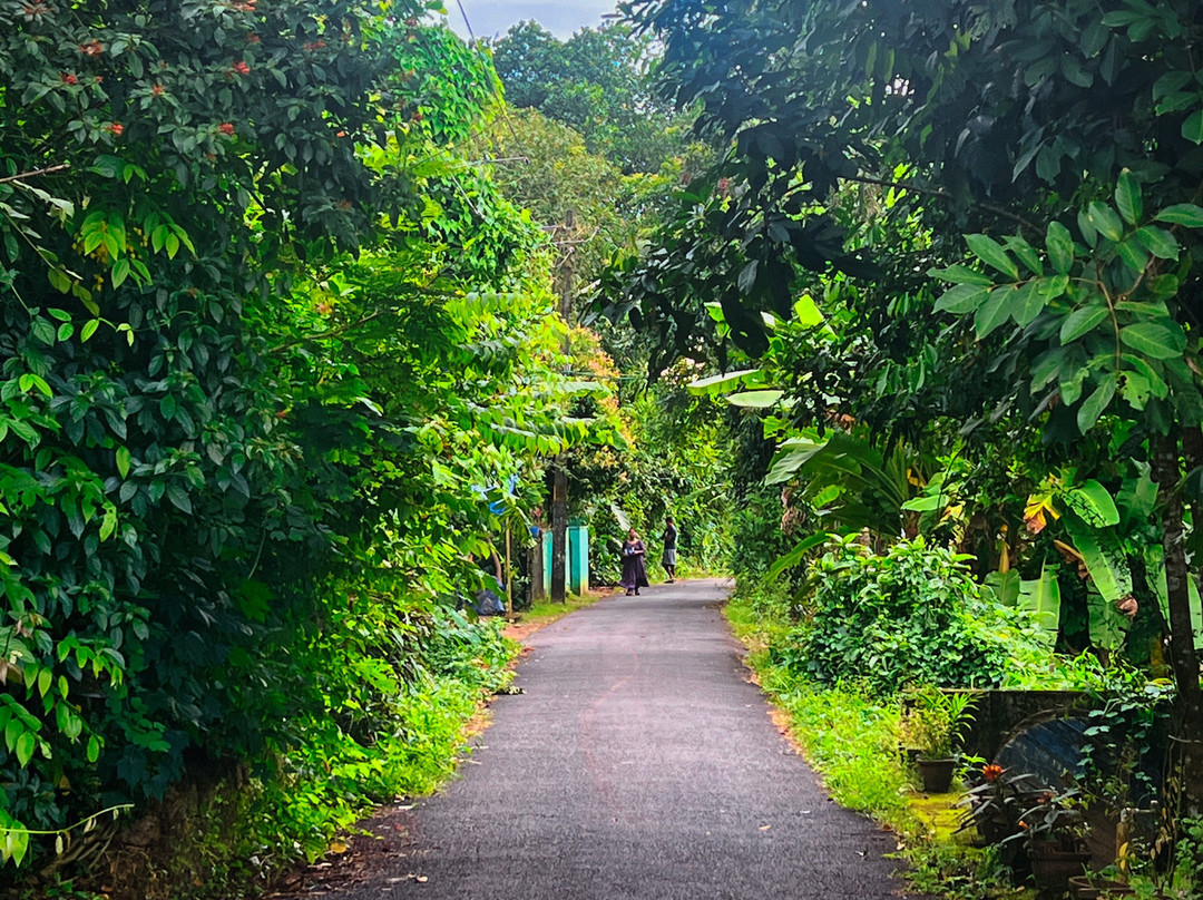 Namasthe Ayurveda And Yoga Retreat-尼杜巴塞莱必去景点