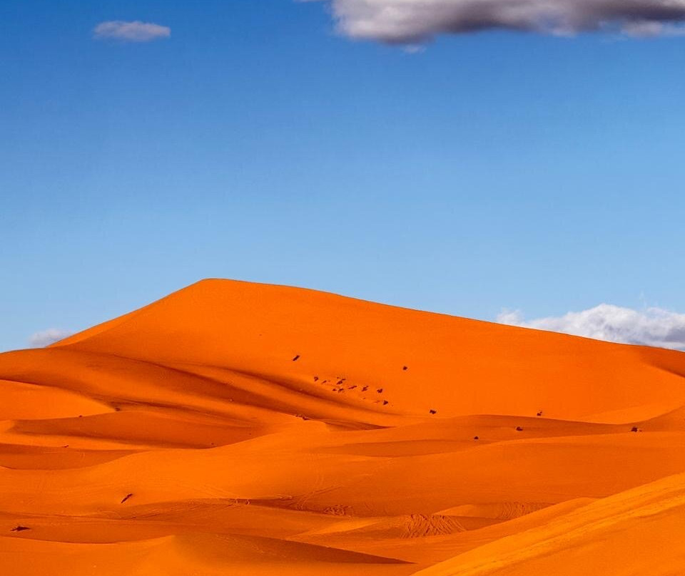 True Morocco Experience-Hassilabied必去景点