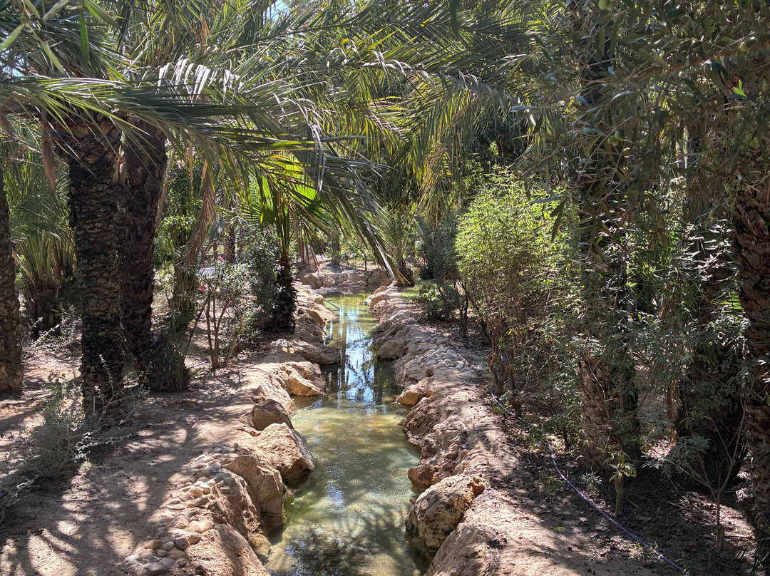Parque El Palmeral-阿利坎特省必去景点