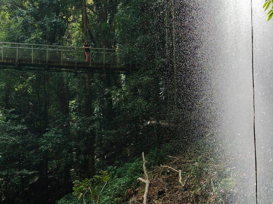 Waterfall Way-阿米代尔必去景点