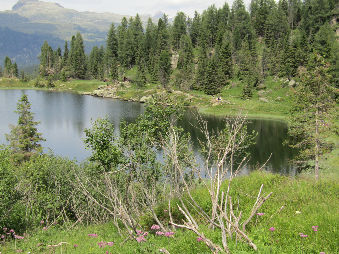 Rifugio Passo Staulanza主图