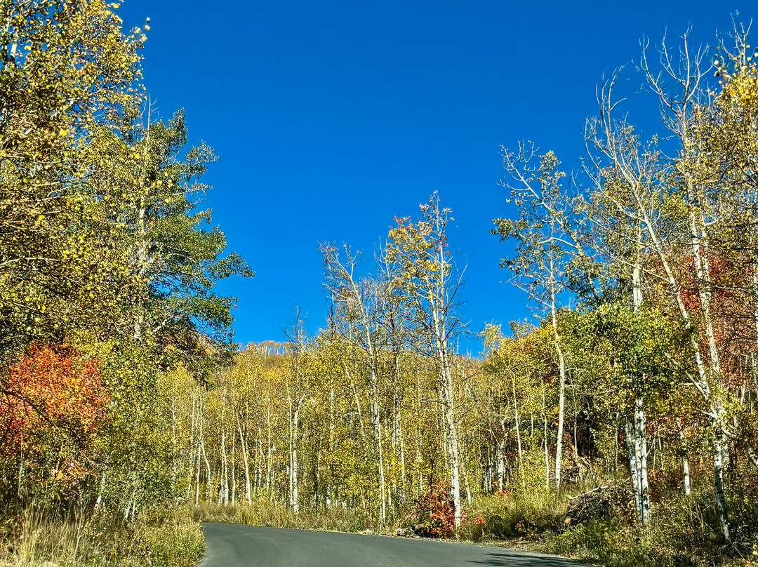 Wasatch Mountain State Park-Midway必去景点