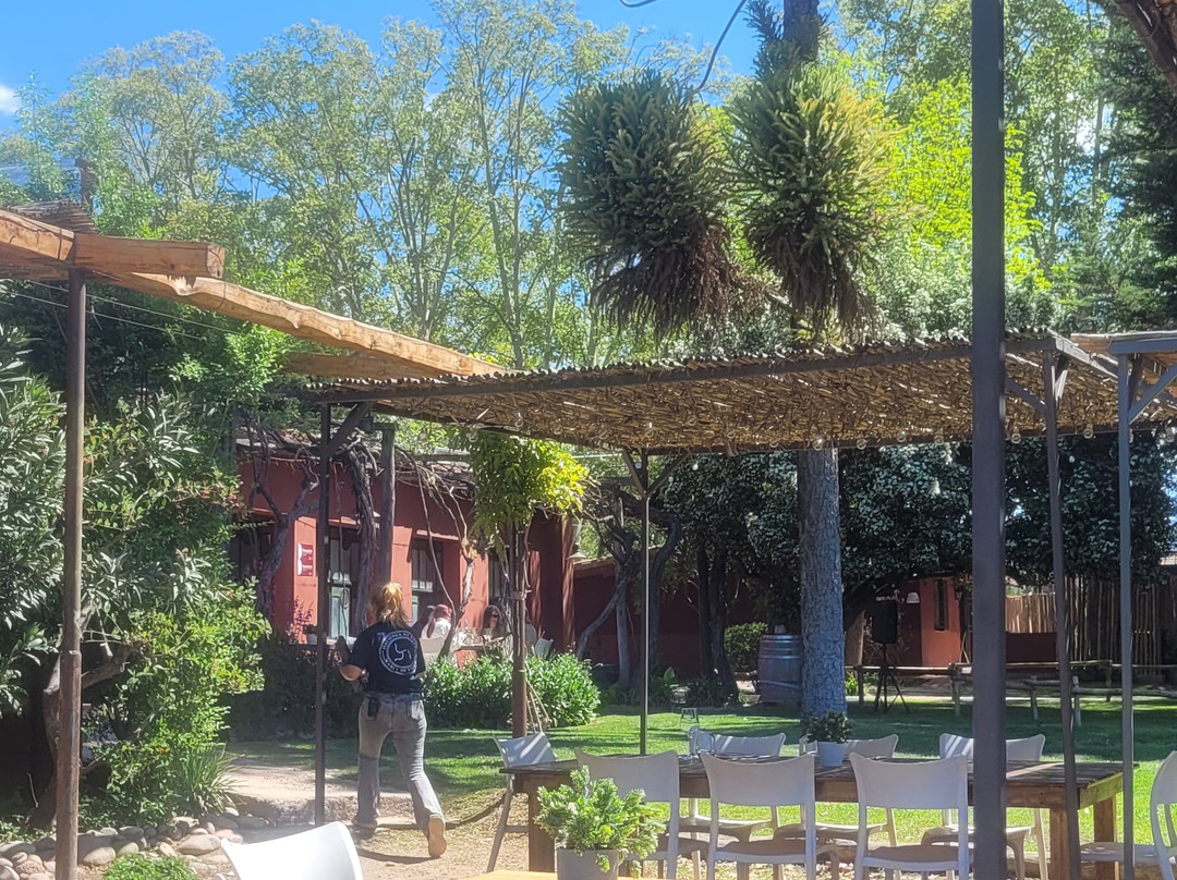 Bodega Hacienda del Plata-路冉得库约必去景点