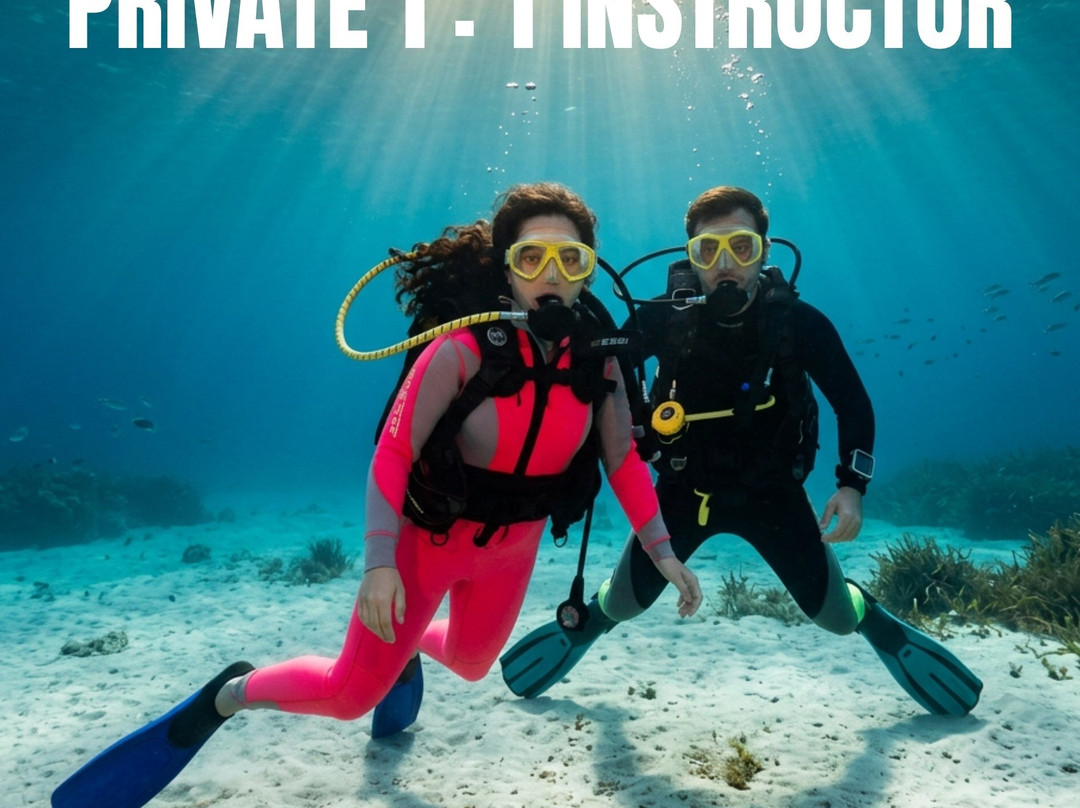 Kalypso Dive Center & School-雷斯蒙必去景点