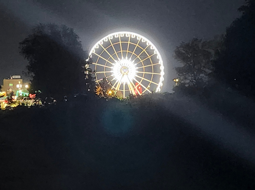 Niagara SkyWheel-尼亚加拉大瀑布必去景点