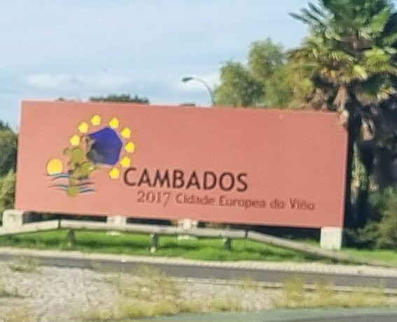 Bodegas Martin Codax-Cambados必去景点
