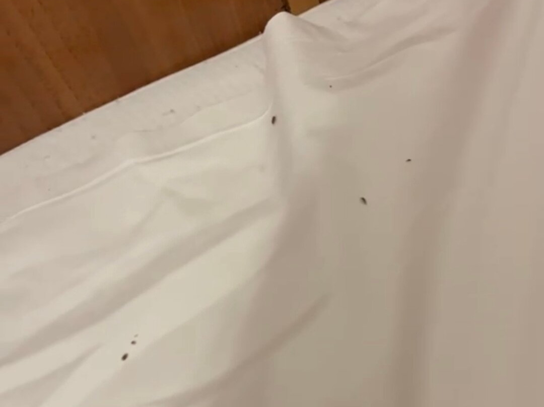赫基莫格鲁酒店主图