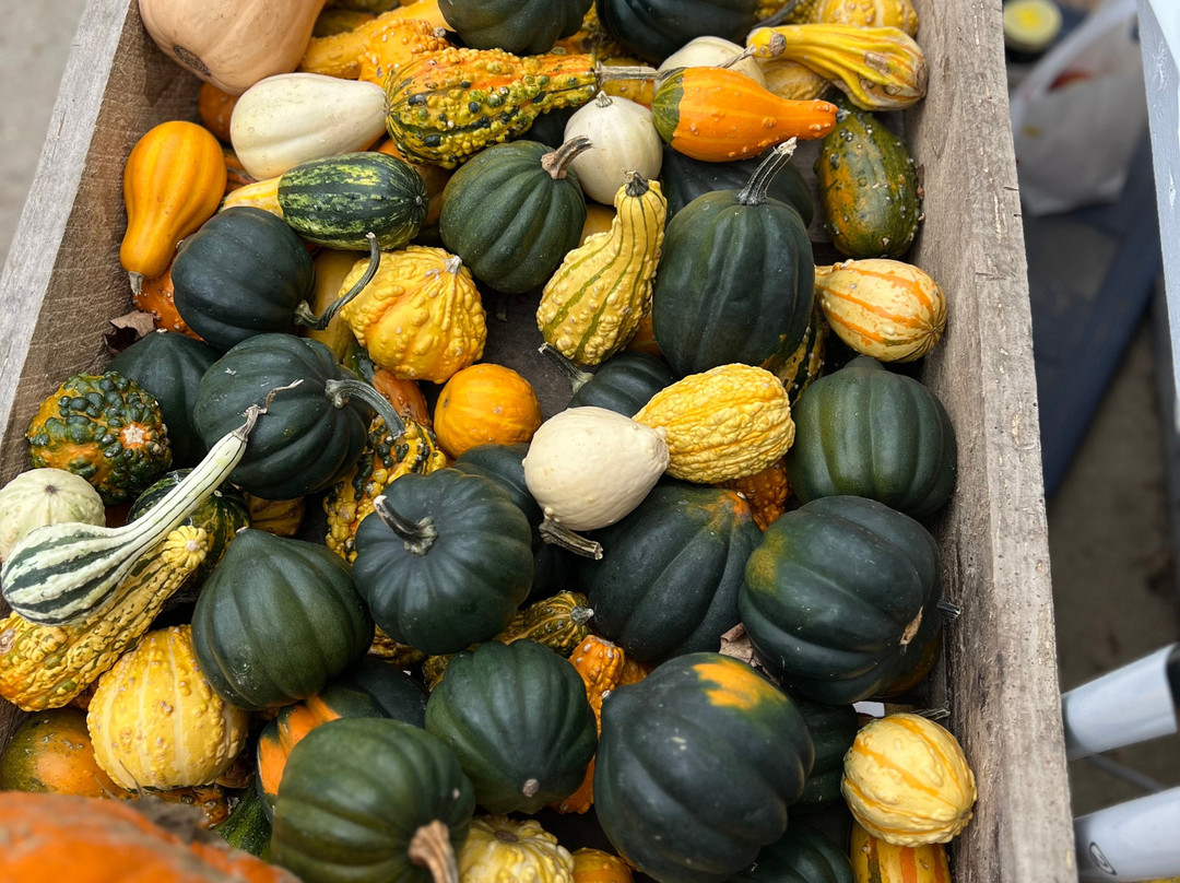 Irons Fruit Farm-Lebanon必去景点