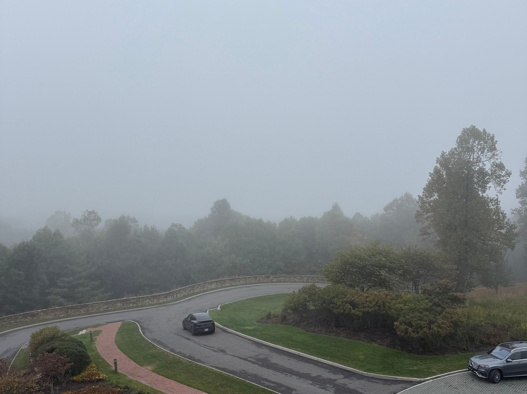 Primland-Meadows of Dan必去景点