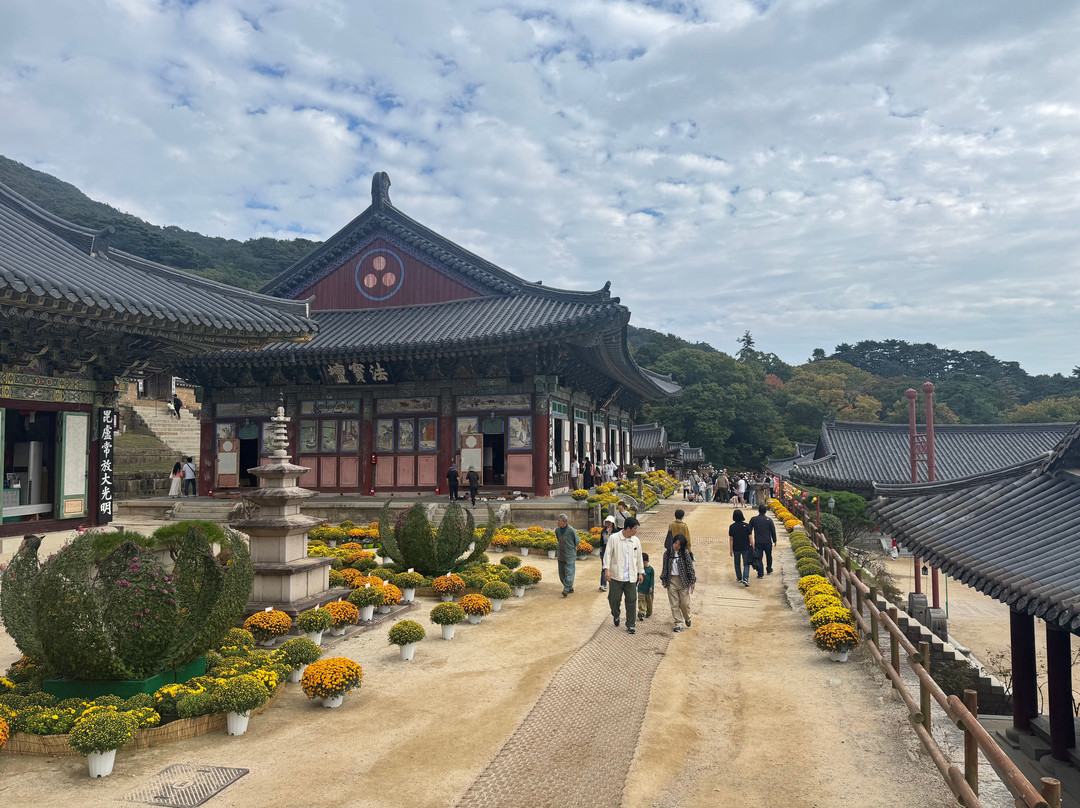 海印寺-陕州郡必去景点