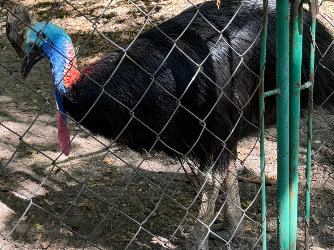Zoo Debrecen-德布勒森必去景点