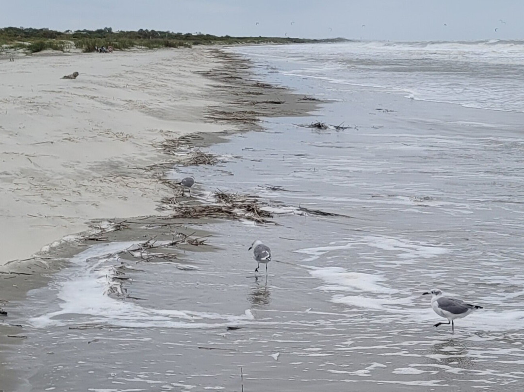 Sullivan's Island Beach-Sullivan's Island必去景点