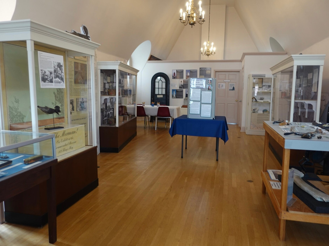 Zwaanendael Museum-刘易斯必去景点