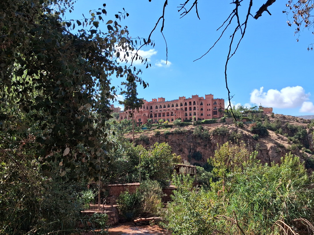 Riad Tarzout主图