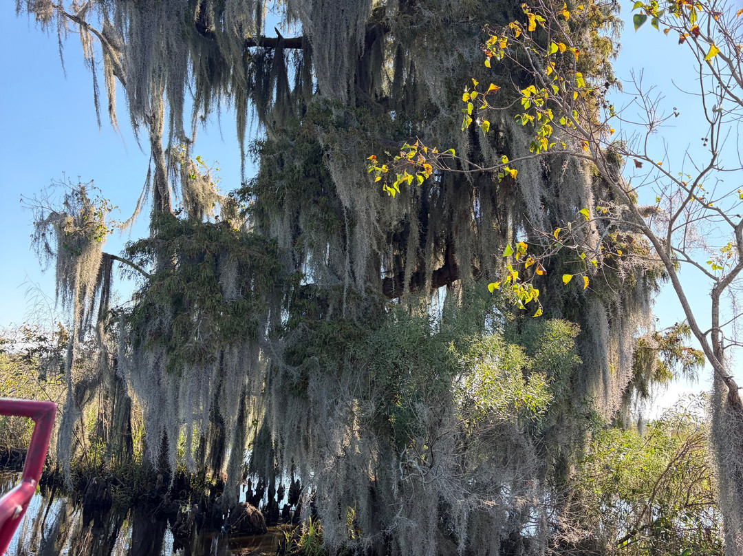New Orleans Airboat Tours-Marrero必去景点