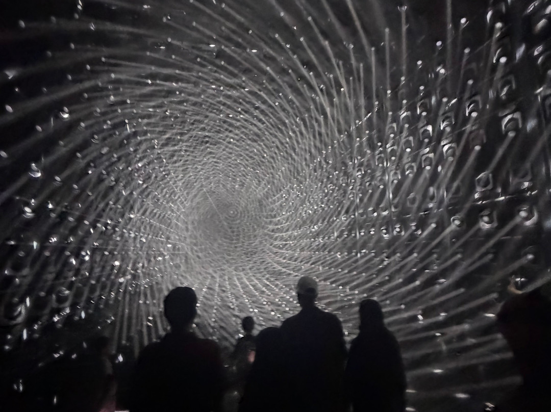teamLab Borderless Jeddah-吉达必去景点
