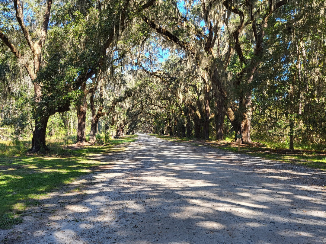 Wormsloe Historic Site-萨凡纳必去景点