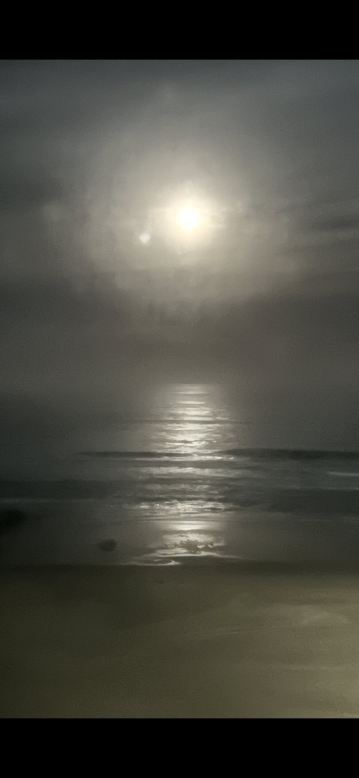 乔霍海滨旅馆-旅行者