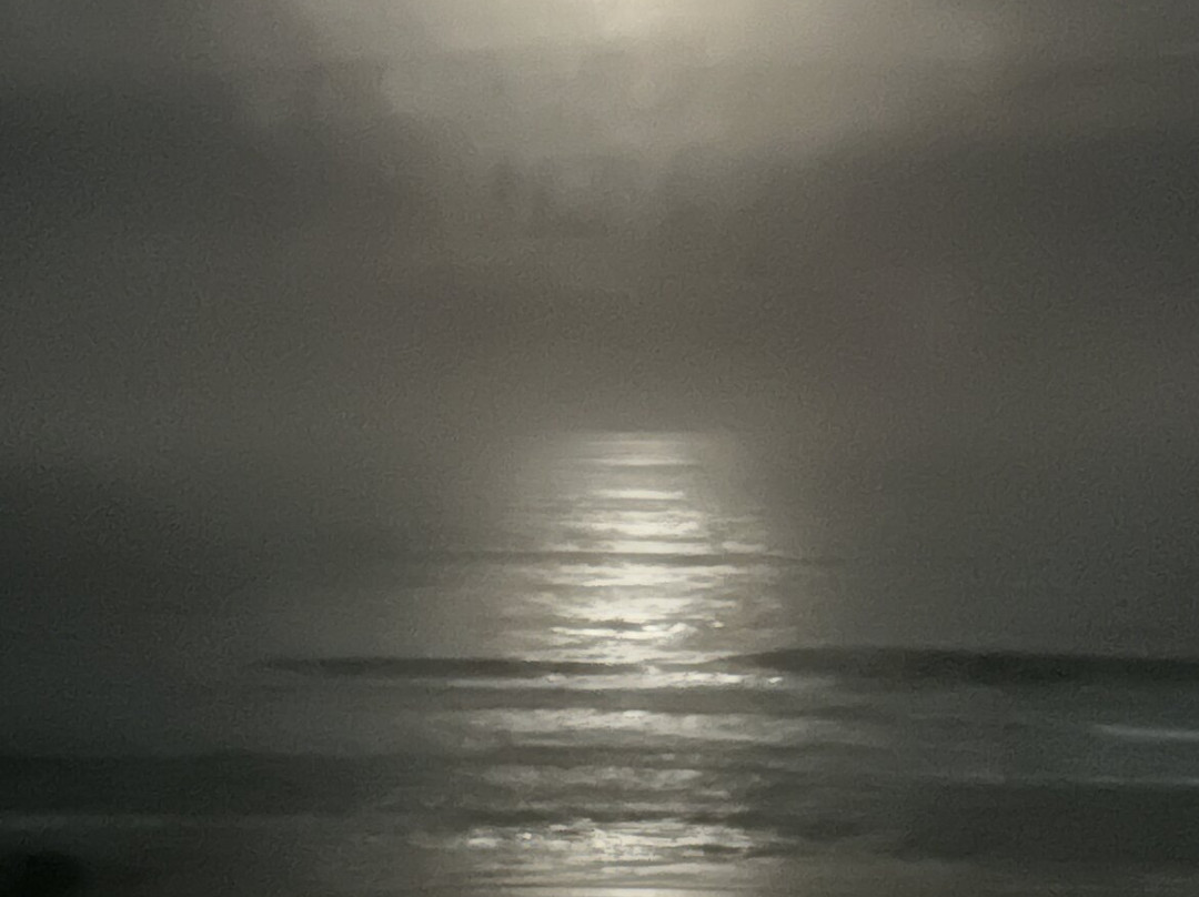 乔霍海滨旅馆主图