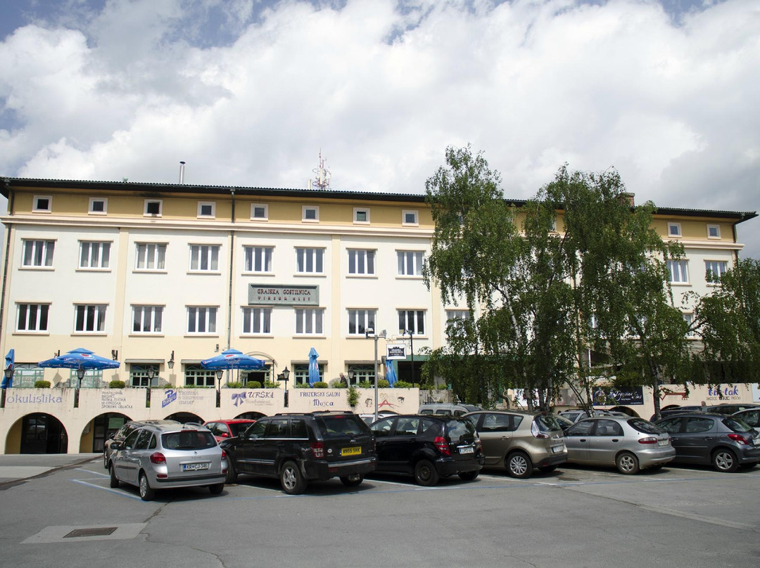 Hotel Grajski Dvor