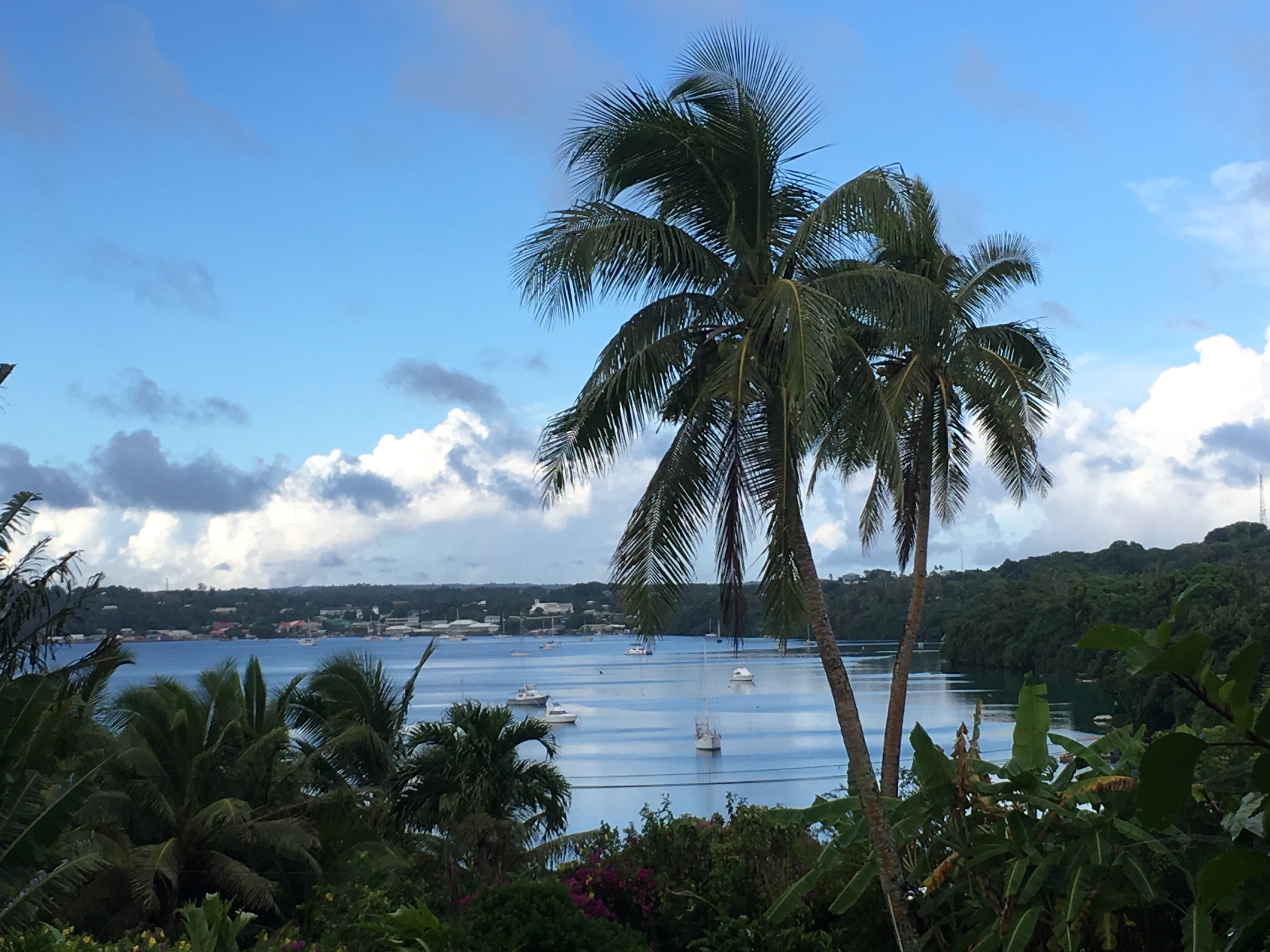 The Harbourview, Vava'u-官方