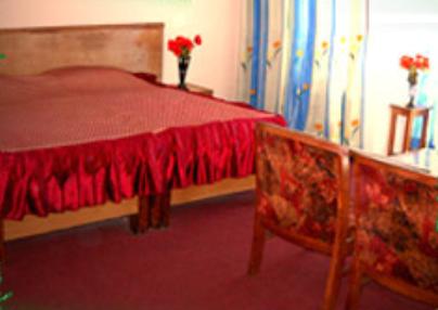 Hotel Bhagwati Palace-浴室