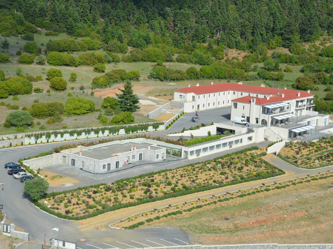Vytina酒店住宿-Seleni Suites Hotel