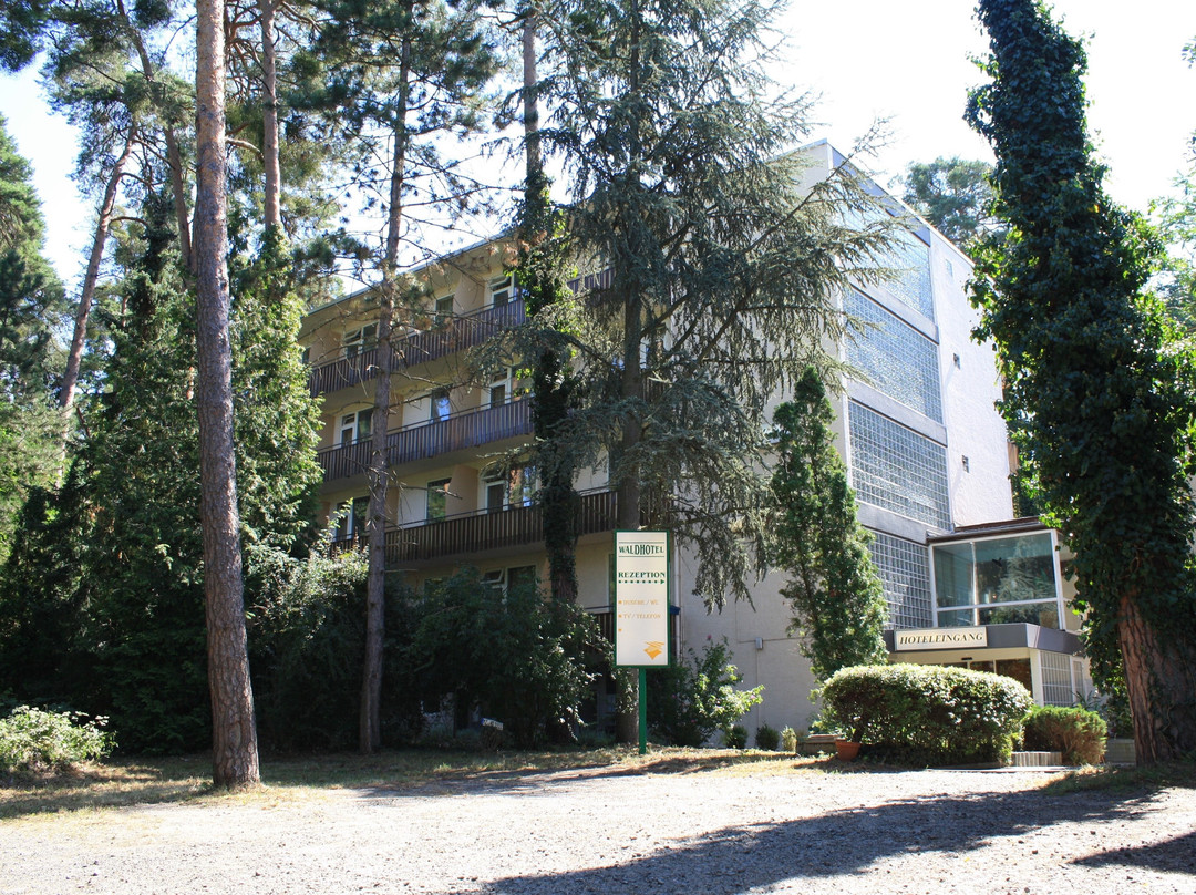 祖姆陶努斯瓦尔德酒店主图