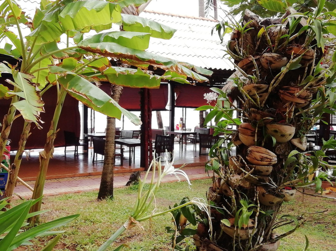 Hon Rom 2 Resort