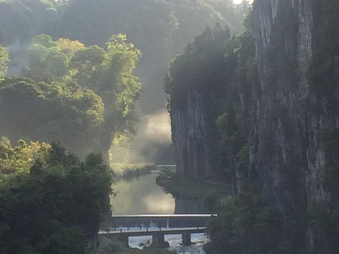 挞扒洞长寿村湿地公园景点图片