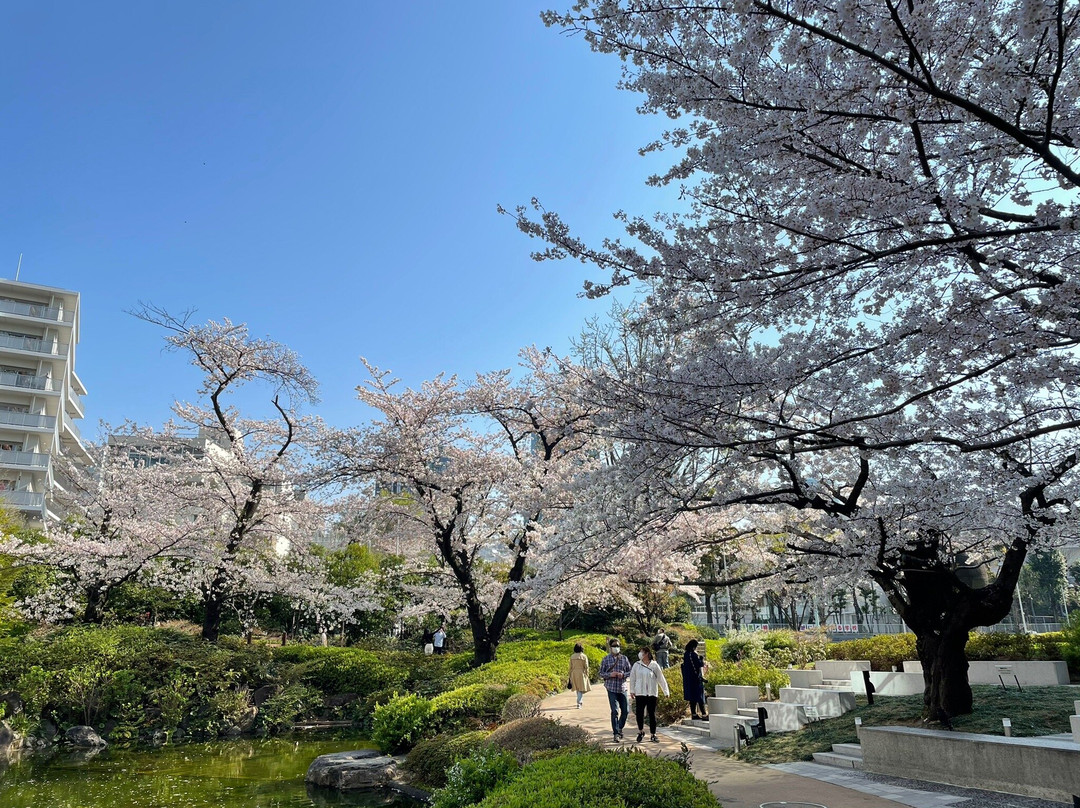 Don Quijote Roppongi-Roppongi必去景点