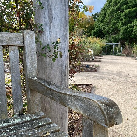 Armidale Farmers' Market景点图片