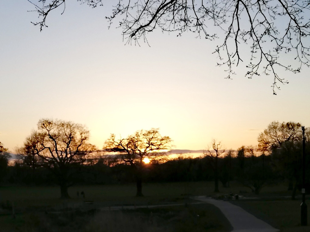 Enfield Town Park景点图片