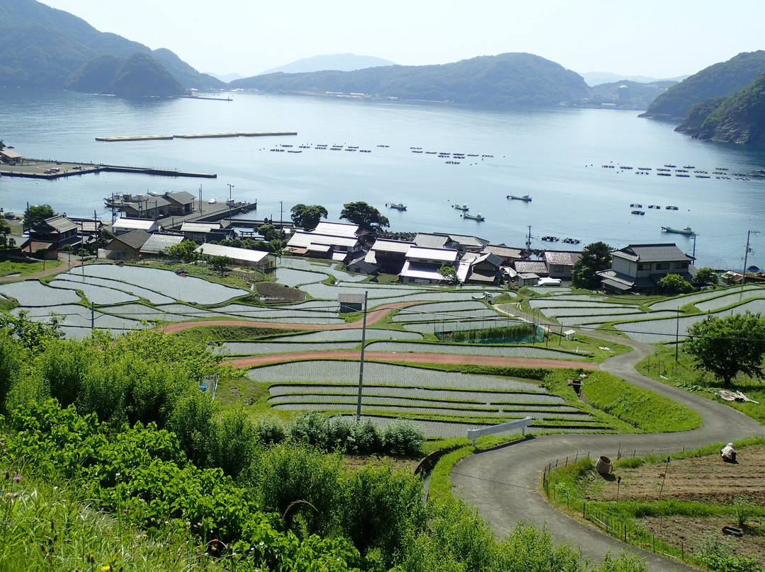 Hibiki Rice Terrace景点图片