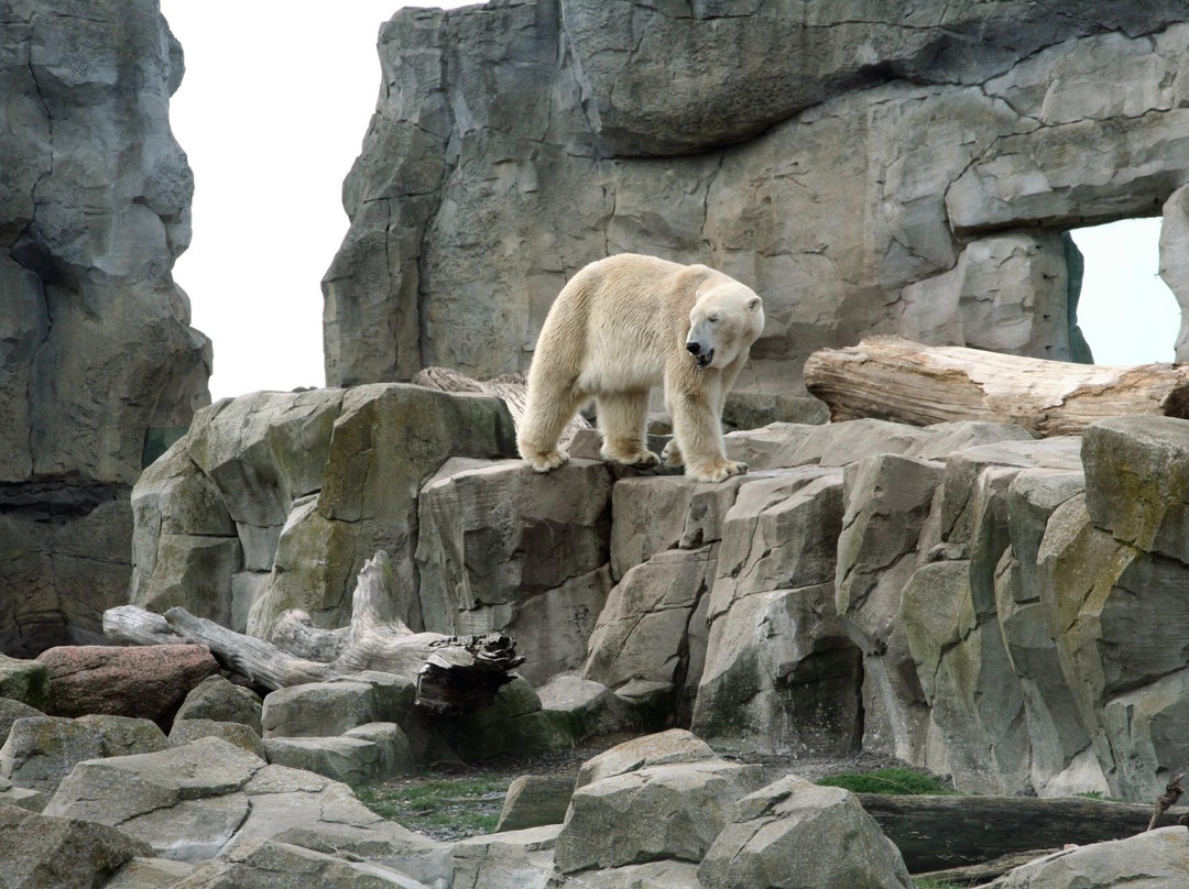 Zoo am Meer景点图片