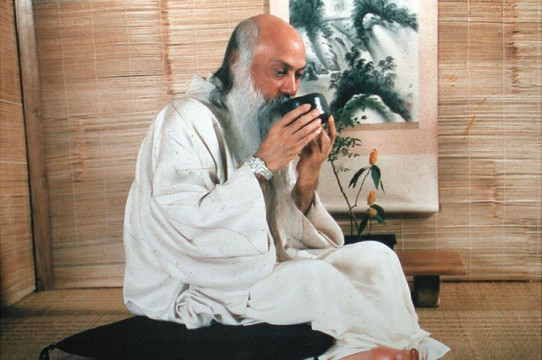 Himalayan Vipassana-里希克虚必去景点