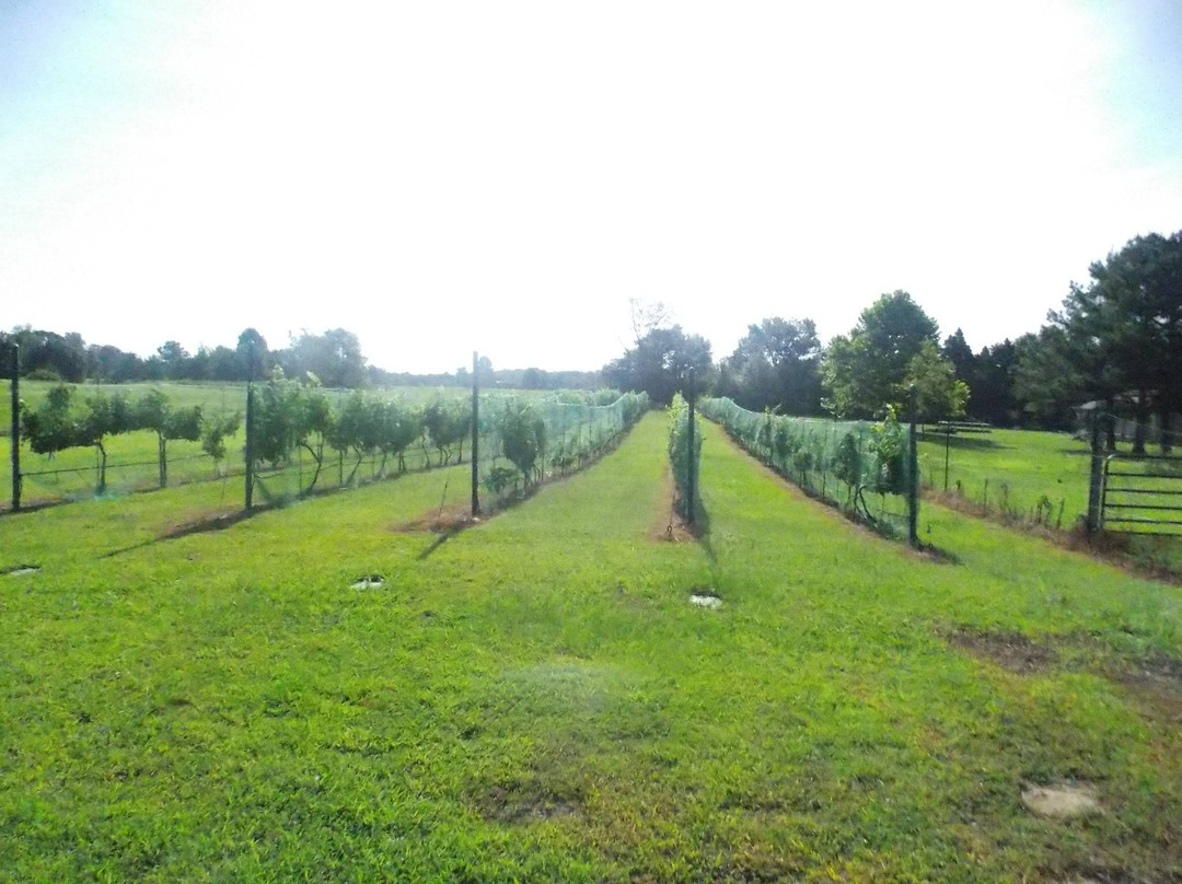 The Bluebird Ranch Winery景点图片