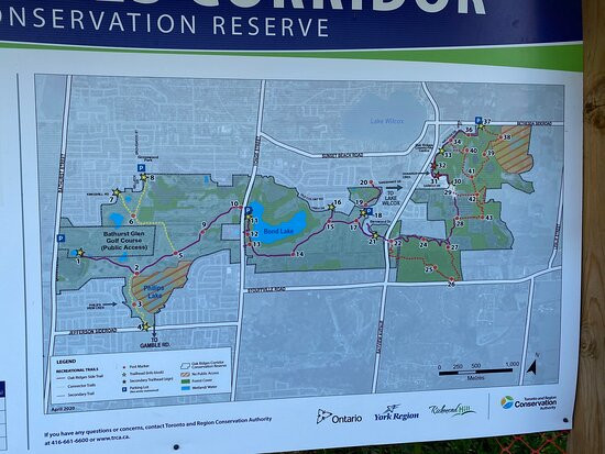 Oak Ridges Corridor Conservation Reserve Trail景点图片